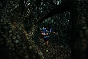 BIB: 
                            <button type="button" onclick="openModal(25688281)" class="btn btn-primary btn-sm float-right btn-popup" data-toggle="modal" data-target=".modal-high-quality">
                        <i class="fas fa-shopping-cart"></i> Add to Cart
                    </button>
                                            <button type="button" onclick="isThisMe(25688281, true)" class="btn btn-success btn-sm float-right btn-popup btn-isme hidden" data-toggle="tooltip" data-placement="bottom" title="นี่คือรูปของคุณใช่ไหม คลิกที่นี่เพื่อเอาเข้าอัลบั้ม">
                        <i class="fas fa-plus"></i> Add to album
                    </button>
                    <button type="button" onclick="isThisMe(25688281, false)" class="btn btn-warning btn-sm float-right btn-popup btn-isnotme hidden">
                        <i class="fas fa-ban"></i> Remove from album
                    </button>